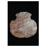 2 5/16' Snyders Knife Found in Lincoln Co. Missour