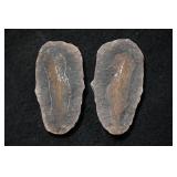 Macroneuropteris Mazon Creek 3 3/16' Split Nodule
