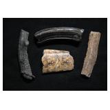 Petrified Teeth Antler and Bone 4 pieces.