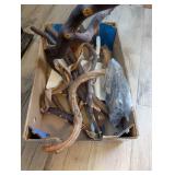 ASSTD BIRD CAGE WOOD PERCHES, OTHER