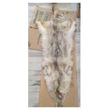 COYOTE FUR PELT
