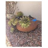 POTTED LIPSTICK SUCCULENTS
