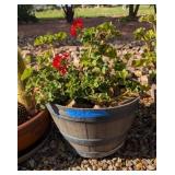 FLOWERING GERANIUM IN BARREL STYLE PLANTER