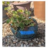 GERANIUM IN A ROUND BLUE/GREEN GLAZED PLANTER