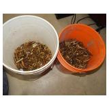 Two Buckets of Brass for reloading various 60 lbs