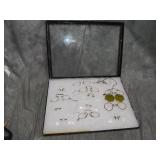 Riker Case with Antiqu Pince Nez Glasses