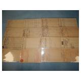 (16) c. 1910 RAILROAD REPORT & DELIVERY Postcards