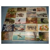 (20) Various Antique Animal Postcards