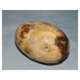 Ancient Dinosaur Egg Fossil