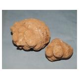 (2) Ancient Fossilized Feces- Coprolites