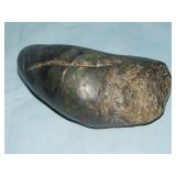 Dinosaur Feces- Coprolite Green & Black