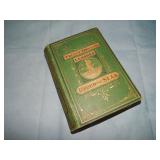 1873 Jules Verne TWENTY THOUSAND LEAGUES 2nd Ed