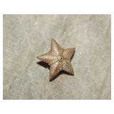 Polish Free Forces rank star badge