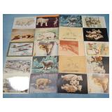(20) Antique POLAR BEAR Postcards