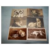 (6) Antique ANIMAL RPPC Postcards