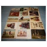 (15) Antique NATIVE AMERICAN Related Postcards