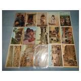 (15) Antique NATIVE AMERICAN Related Postcards