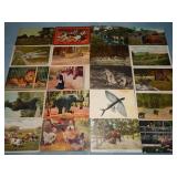 (20) Antique ANIMAL Postcards
