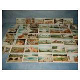 (45) c. 1902+ YELLOWSTONE PARK Postcards