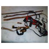 Bag women's belts, Tony Lama elephant & more.