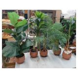 5 faux plants in terracotta planters 33' to 40'