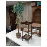 Umbrella Stand and a toteporary plant.