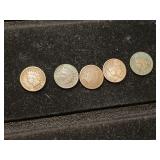 5 Indian Head pennies, 1895 93 99 89 1904