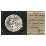 Littleton Pkg. 2009 Silver Eagle