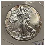 2016 Silver Eagle
