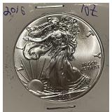 2016 Silver Eagle