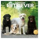 2026 Labrador Retriever Wall Calendar