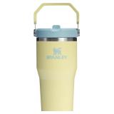 20oz Stanley IceFlow Flip Straw Tumbler