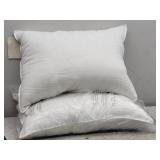 2pk Polyester Pillow Set 20x26in