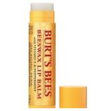 6pk Burt's Bees Lip Balm
