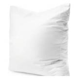 Throw Pillow Insert 20x20in