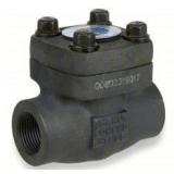 SHARPE VALVES Swing Check Valve, 1 in FNPSM