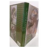 Sistine Chapel: A Glorious Restoration