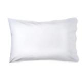 2pk Pillow 2ftx16in