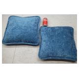 2pk Throw Pillows 16x16in