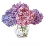 8in Two's Company 5-Section Acrylic Vase