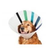 10pk VetOne Easy Fit Pet Cone 13-16in