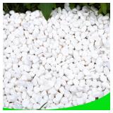 White Pebbles for Plants Garden Gravel 18lbs