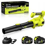 Leaf Blower 2x24V Battery SILVEL