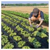 Weed Barrier w/Staples 4x50ft?