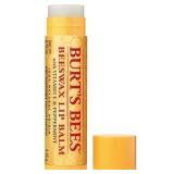 6pk Burt's Bees Lip Balm