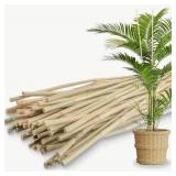 50pk Bamboo Stakes 5-6ft