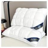2pk Ultra-Plush Hotel Pillows 19x29in