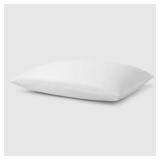 2ct Selene Pillow 18oz Fill 20x25in