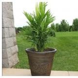 Indoor/Outdoor Brown Resin Planter
