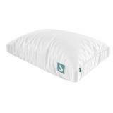 26x18x6in Sleepgram Pillow Queen